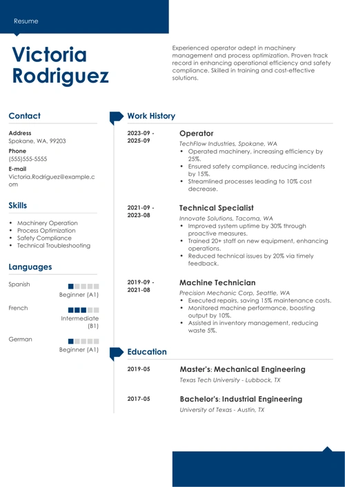 sample resume example