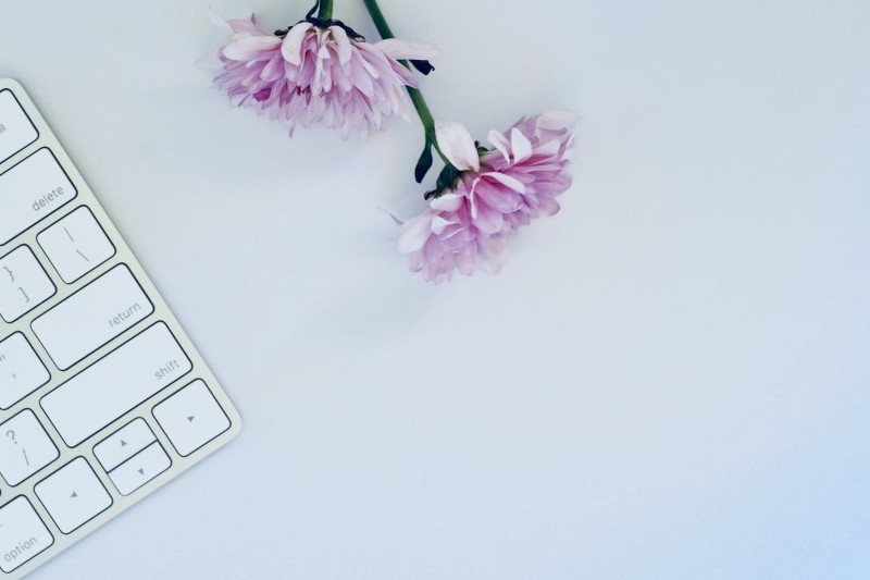 What Does a Resume Look Like? (Examples & Tips)