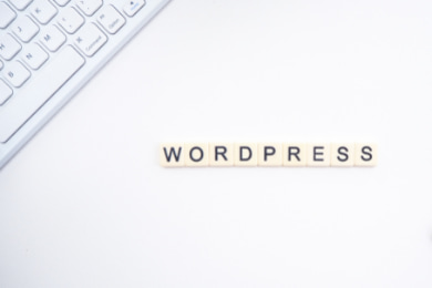 WordPress Developer Resume: Sample & Guide (+25 Tips)