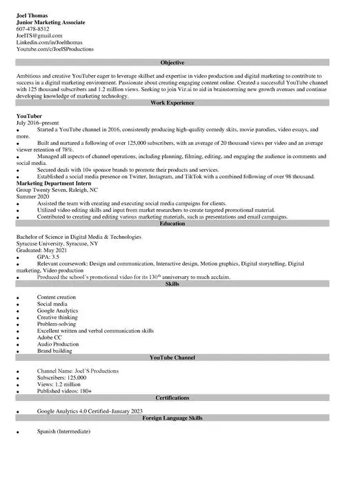 youtuber resume example