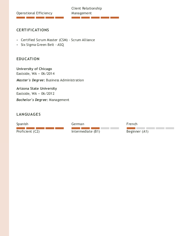 Creative Team Leader Resume Template: Orange color-2