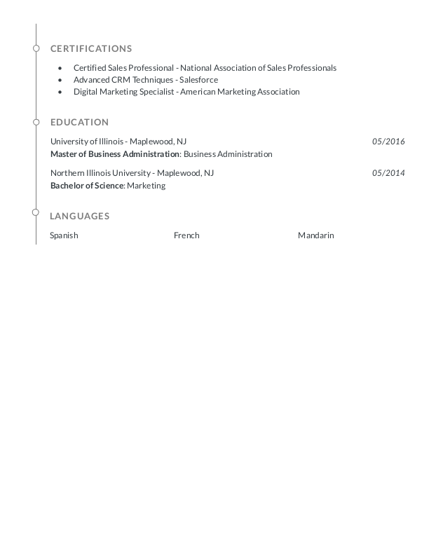 Modern Sales Executive Resume Template: Gray color-2