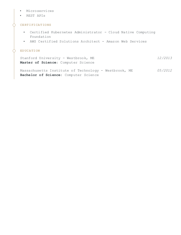 Modern Senior Software Engineer Resume Template: Yellow color-2