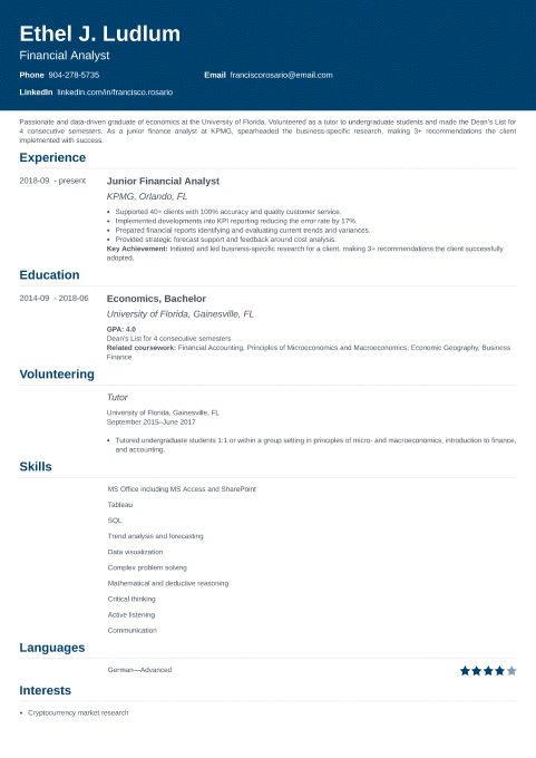 Online CV Maker: Build Your Professional CV Fast