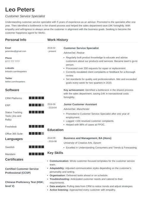 Professional UK CV Templates for All Jobs