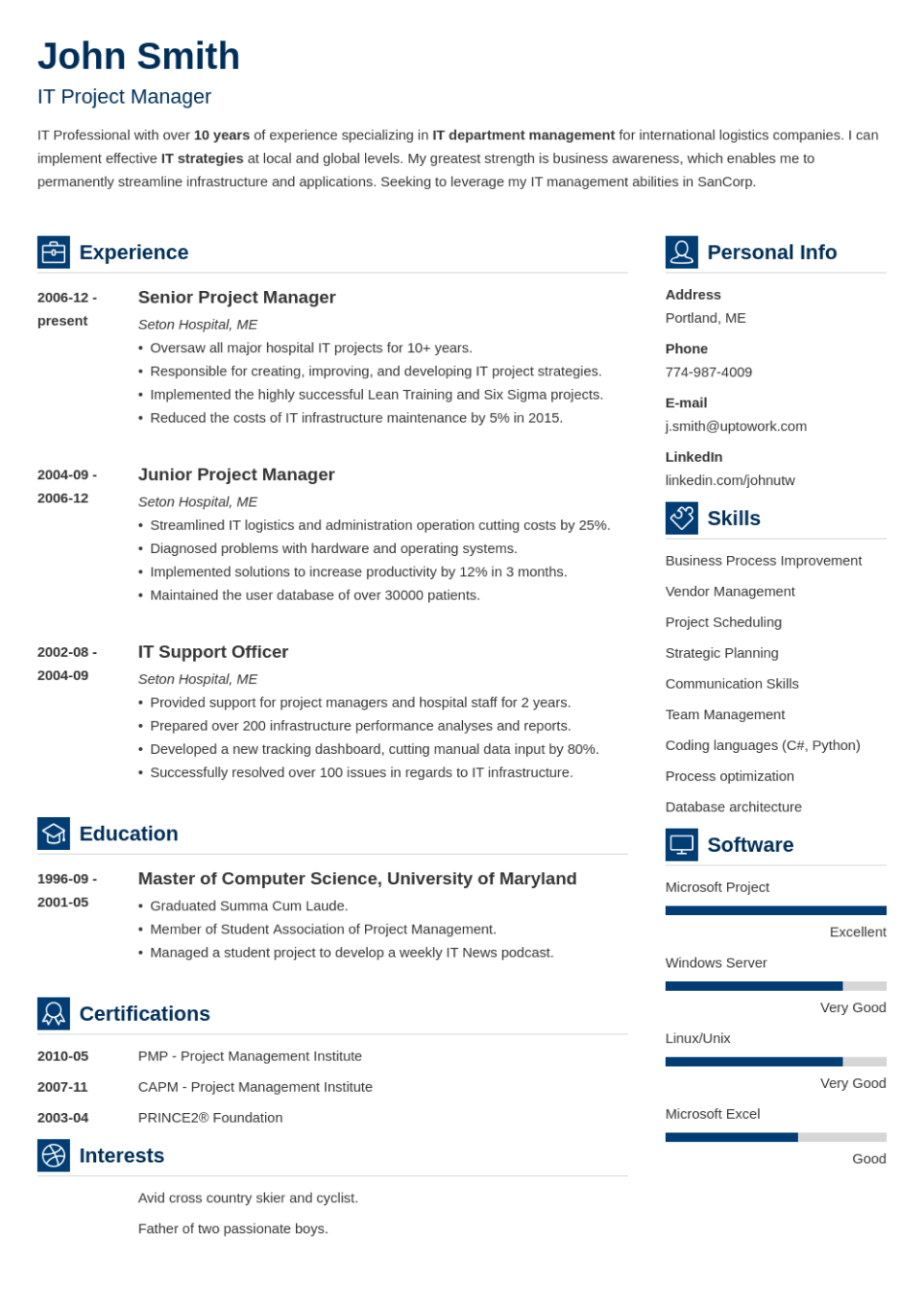 Professional Resume Template Vibes